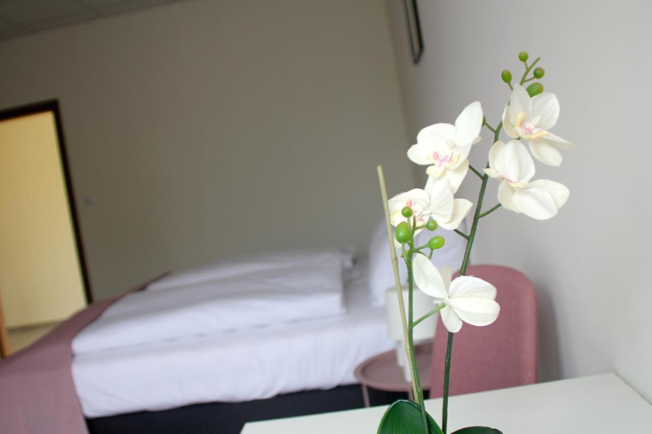 Vecsesi Rendezvenykoezpont Es Panzio Bed and Breakfast Εξωτερικό φωτογραφία